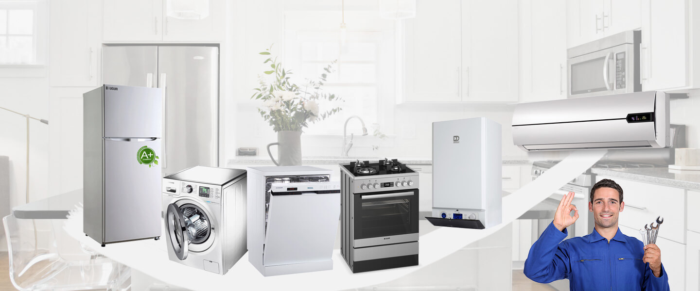Ahlat Gaggenau Servisi